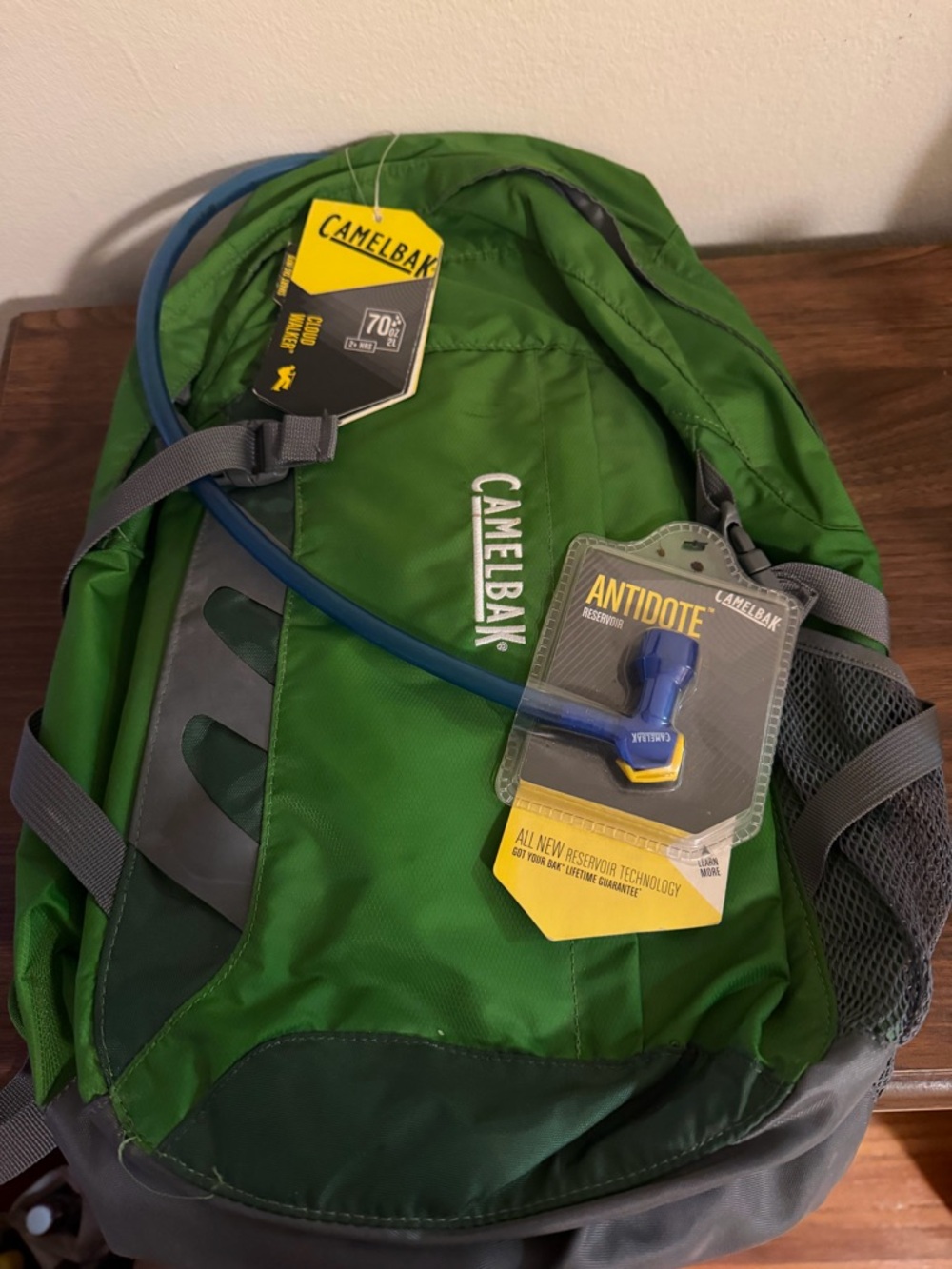 CamelBak Cloud Walker Backpack - Picture 2 of 3